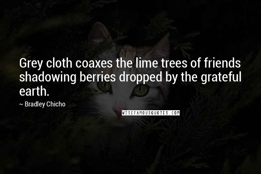 Bradley Chicho Quotes: Grey cloth coaxes the lime trees of friends shadowing berries dropped by the grateful earth.