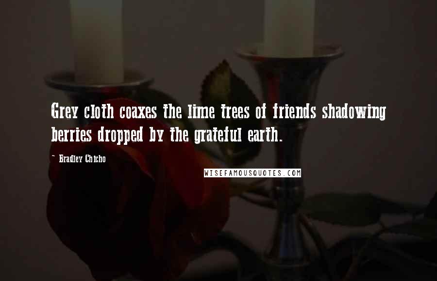 Bradley Chicho Quotes: Grey cloth coaxes the lime trees of friends shadowing berries dropped by the grateful earth.