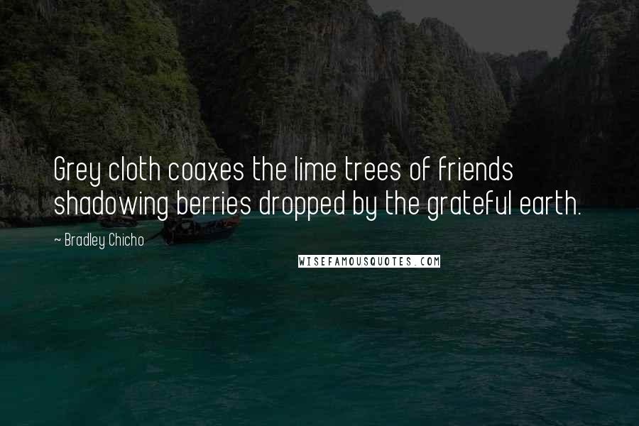 Bradley Chicho Quotes: Grey cloth coaxes the lime trees of friends shadowing berries dropped by the grateful earth.