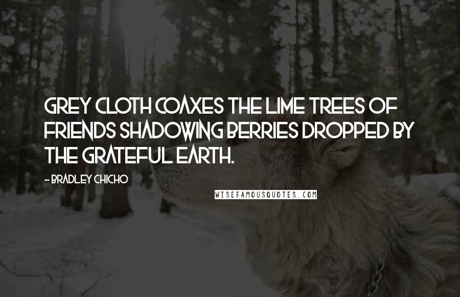 Bradley Chicho Quotes: Grey cloth coaxes the lime trees of friends shadowing berries dropped by the grateful earth.