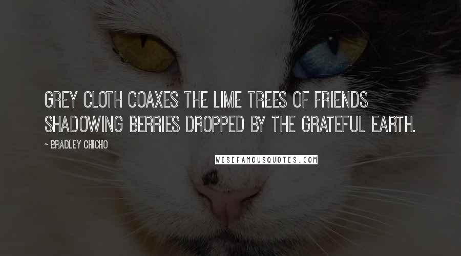 Bradley Chicho Quotes: Grey cloth coaxes the lime trees of friends shadowing berries dropped by the grateful earth.