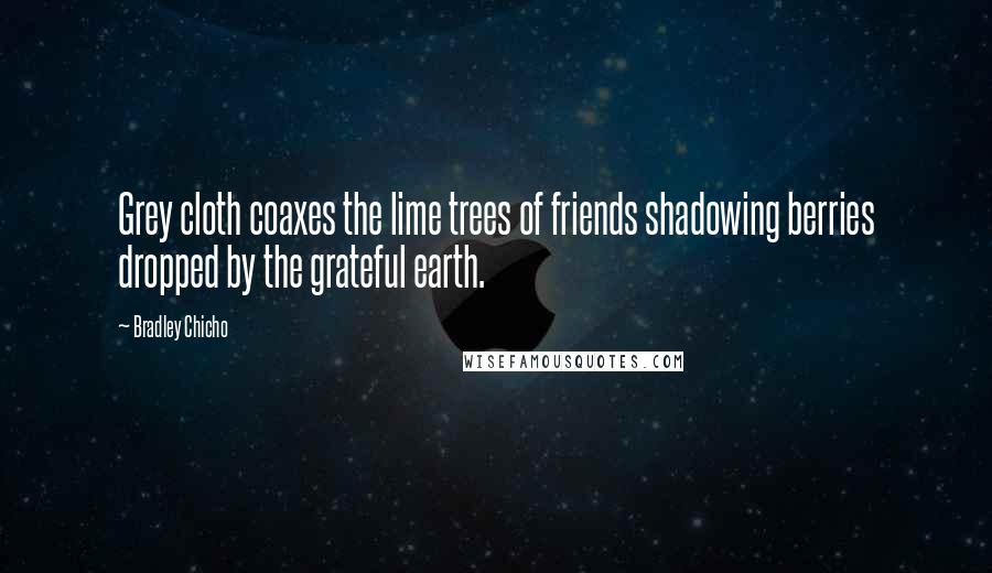 Bradley Chicho Quotes: Grey cloth coaxes the lime trees of friends shadowing berries dropped by the grateful earth.