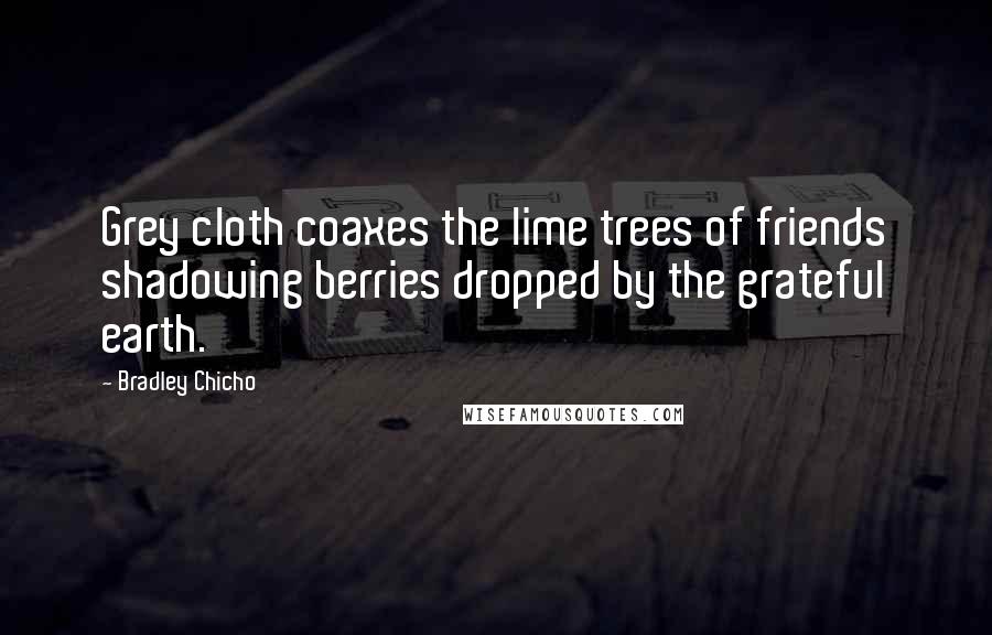 Bradley Chicho Quotes: Grey cloth coaxes the lime trees of friends shadowing berries dropped by the grateful earth.