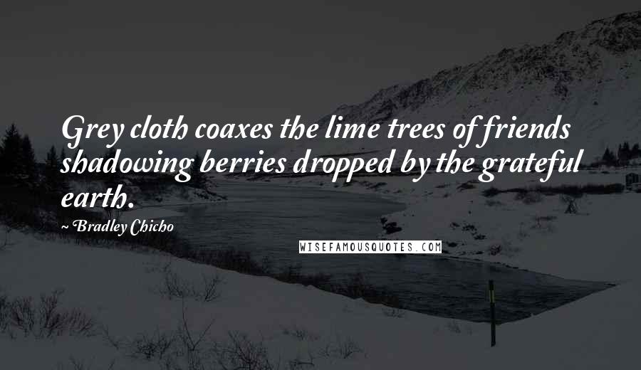 Bradley Chicho Quotes: Grey cloth coaxes the lime trees of friends shadowing berries dropped by the grateful earth.