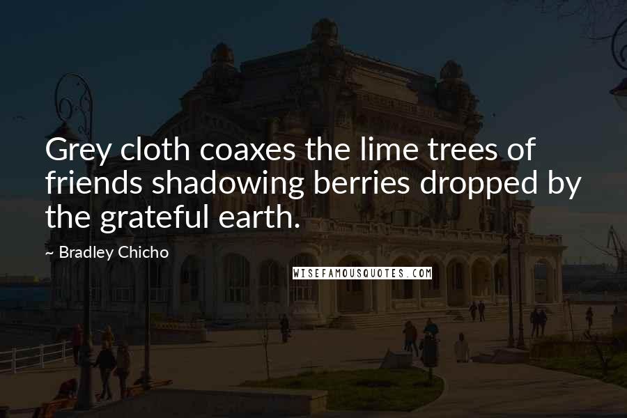 Bradley Chicho Quotes: Grey cloth coaxes the lime trees of friends shadowing berries dropped by the grateful earth.