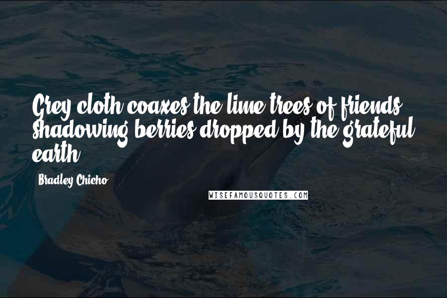 Bradley Chicho Quotes: Grey cloth coaxes the lime trees of friends shadowing berries dropped by the grateful earth.