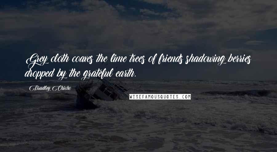 Bradley Chicho Quotes: Grey cloth coaxes the lime trees of friends shadowing berries dropped by the grateful earth.