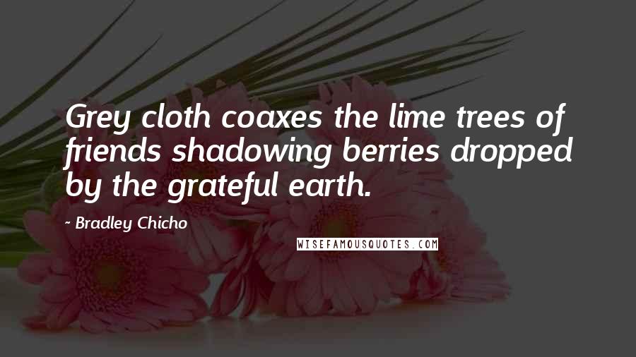 Bradley Chicho Quotes: Grey cloth coaxes the lime trees of friends shadowing berries dropped by the grateful earth.