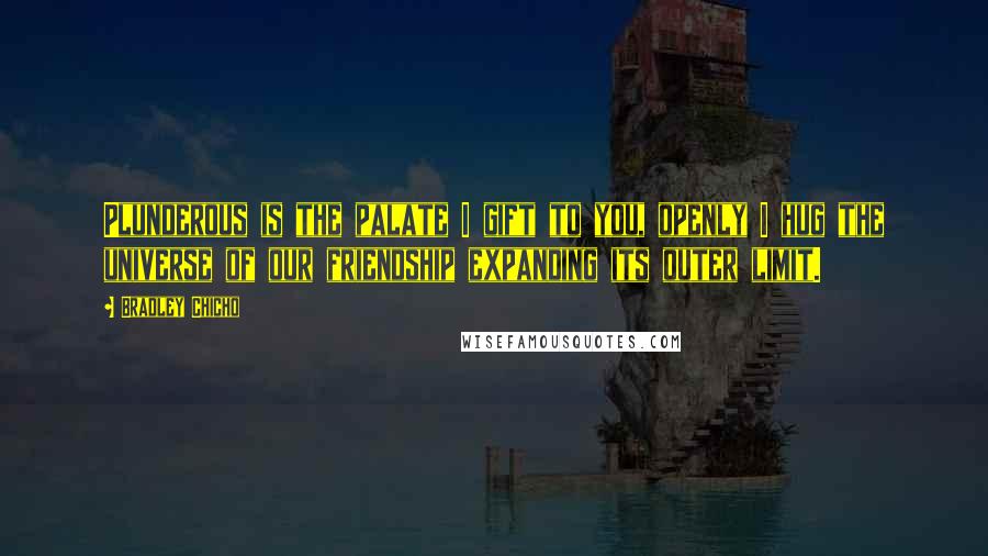 Bradley Chicho Quotes: Plunderous is the palate I gift to you, openly I hug the universe of our friendship expanding its outer limit.