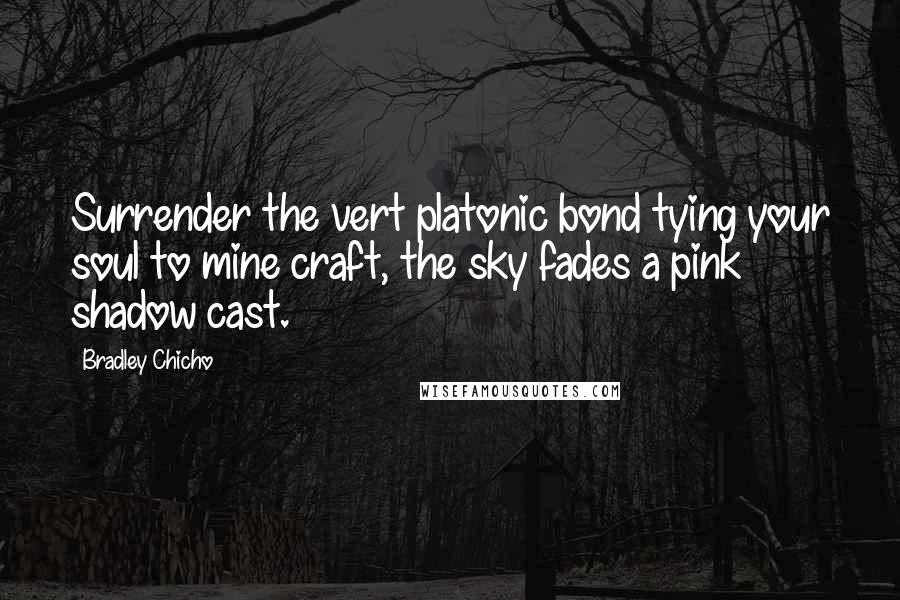 Bradley Chicho Quotes: Surrender the vert platonic bond tying your soul to mine craft, the sky fades a pink shadow cast.