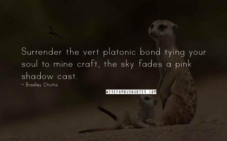 Bradley Chicho Quotes: Surrender the vert platonic bond tying your soul to mine craft, the sky fades a pink shadow cast.
