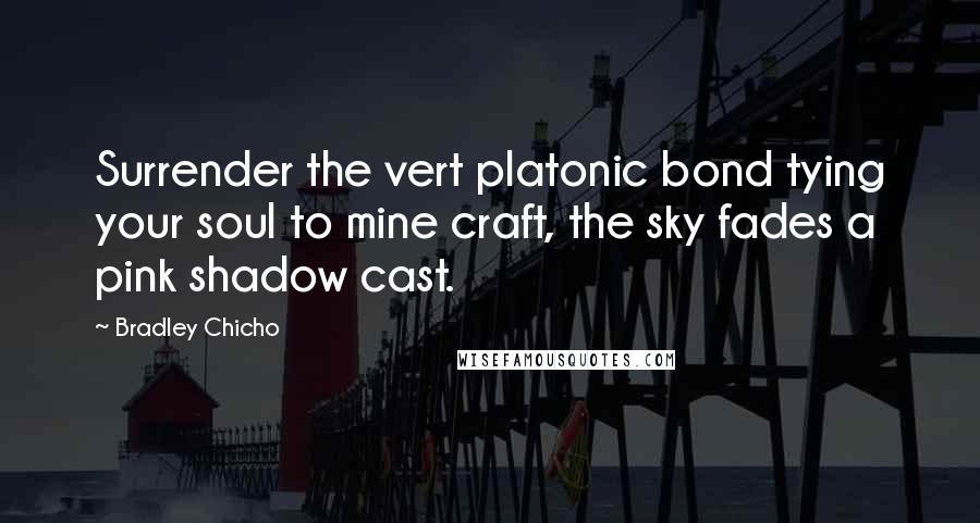 Bradley Chicho Quotes: Surrender the vert platonic bond tying your soul to mine craft, the sky fades a pink shadow cast.