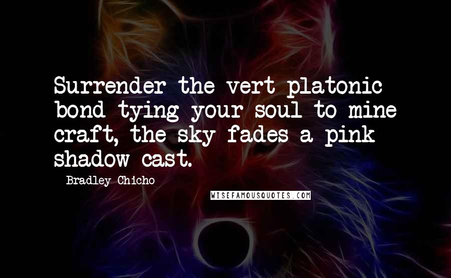 Bradley Chicho Quotes: Surrender the vert platonic bond tying your soul to mine craft, the sky fades a pink shadow cast.