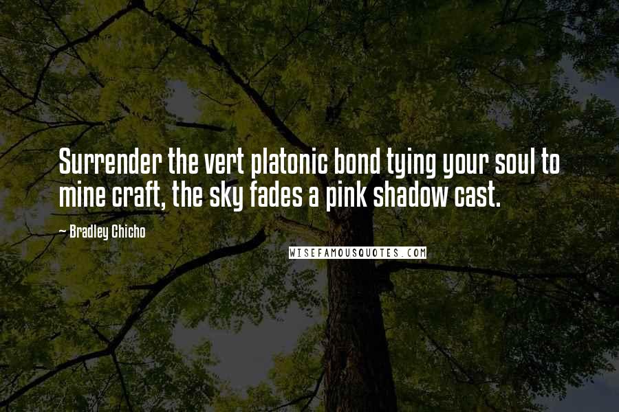 Bradley Chicho Quotes: Surrender the vert platonic bond tying your soul to mine craft, the sky fades a pink shadow cast.