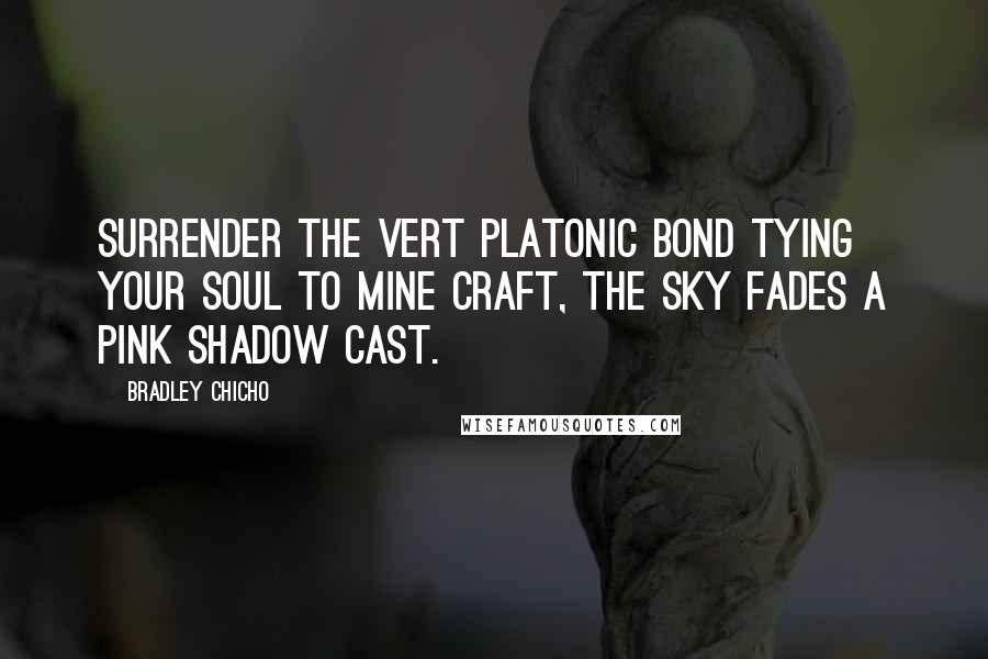 Bradley Chicho Quotes: Surrender the vert platonic bond tying your soul to mine craft, the sky fades a pink shadow cast.