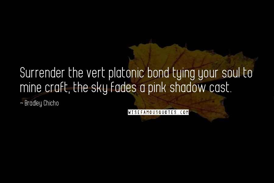 Bradley Chicho Quotes: Surrender the vert platonic bond tying your soul to mine craft, the sky fades a pink shadow cast.