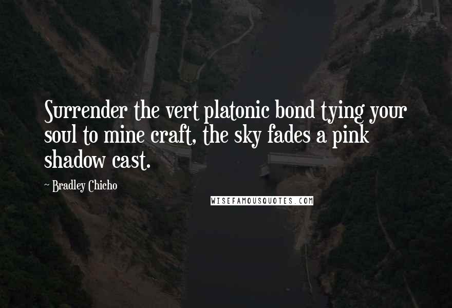 Bradley Chicho Quotes: Surrender the vert platonic bond tying your soul to mine craft, the sky fades a pink shadow cast.