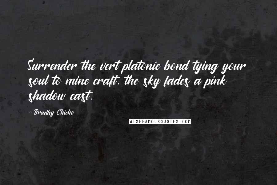 Bradley Chicho Quotes: Surrender the vert platonic bond tying your soul to mine craft, the sky fades a pink shadow cast.