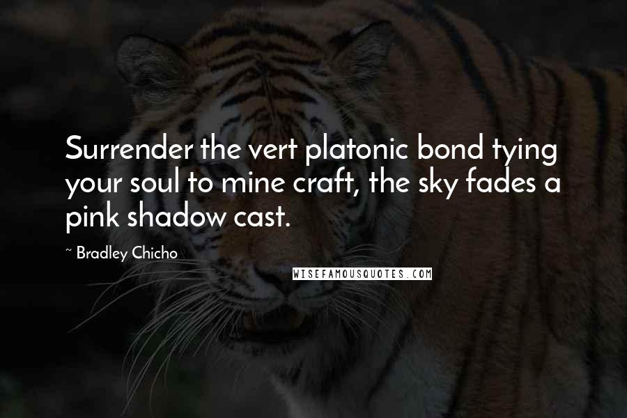 Bradley Chicho Quotes: Surrender the vert platonic bond tying your soul to mine craft, the sky fades a pink shadow cast.