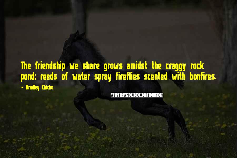 Bradley Chicho Quotes: The friendship we share grows amidst the craggy rock pond; reeds of water spray fireflies scented with bonfires.