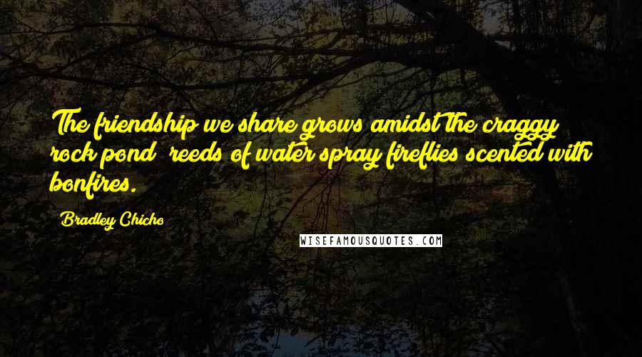 Bradley Chicho Quotes: The friendship we share grows amidst the craggy rock pond; reeds of water spray fireflies scented with bonfires.