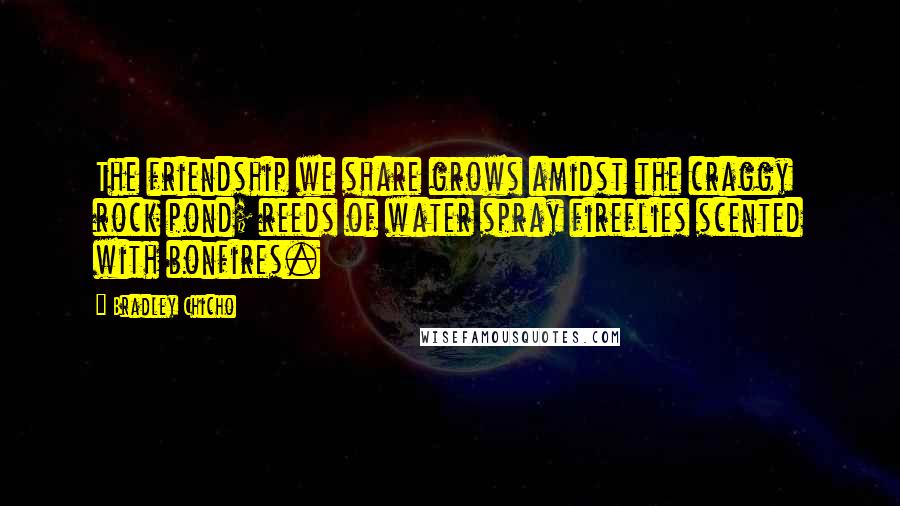 Bradley Chicho Quotes: The friendship we share grows amidst the craggy rock pond; reeds of water spray fireflies scented with bonfires.