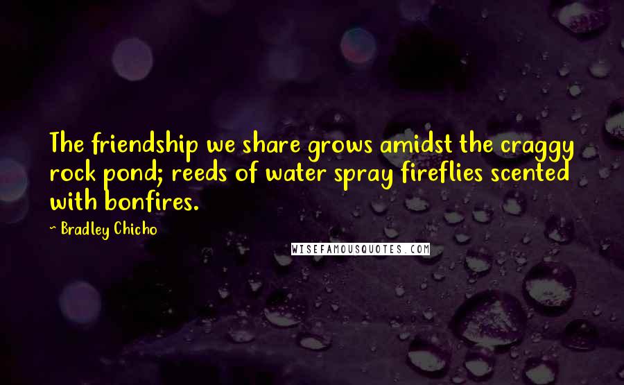 Bradley Chicho Quotes: The friendship we share grows amidst the craggy rock pond; reeds of water spray fireflies scented with bonfires.