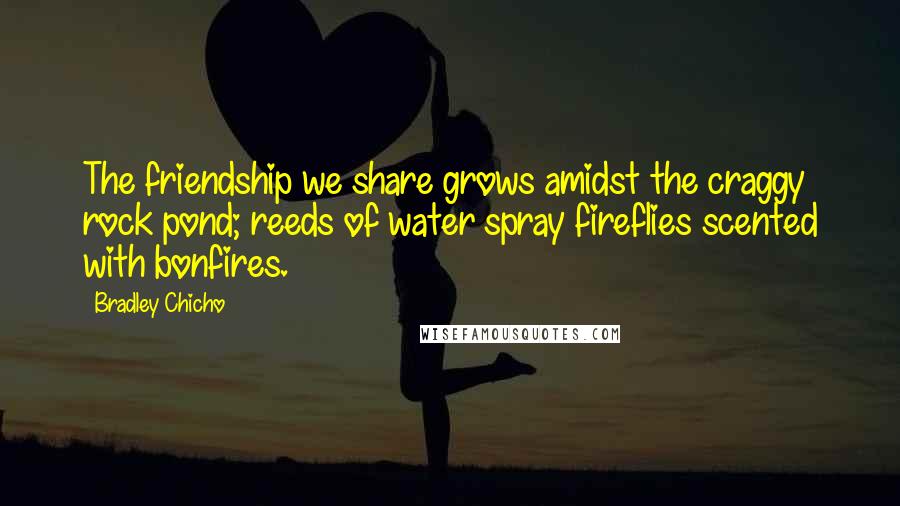 Bradley Chicho Quotes: The friendship we share grows amidst the craggy rock pond; reeds of water spray fireflies scented with bonfires.