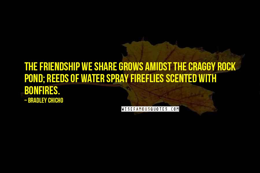 Bradley Chicho Quotes: The friendship we share grows amidst the craggy rock pond; reeds of water spray fireflies scented with bonfires.