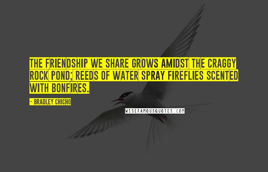 Bradley Chicho Quotes: The friendship we share grows amidst the craggy rock pond; reeds of water spray fireflies scented with bonfires.