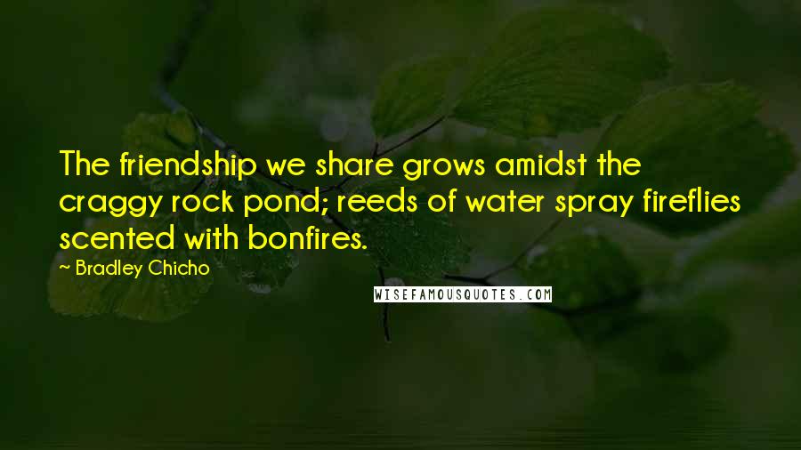 Bradley Chicho Quotes: The friendship we share grows amidst the craggy rock pond; reeds of water spray fireflies scented with bonfires.