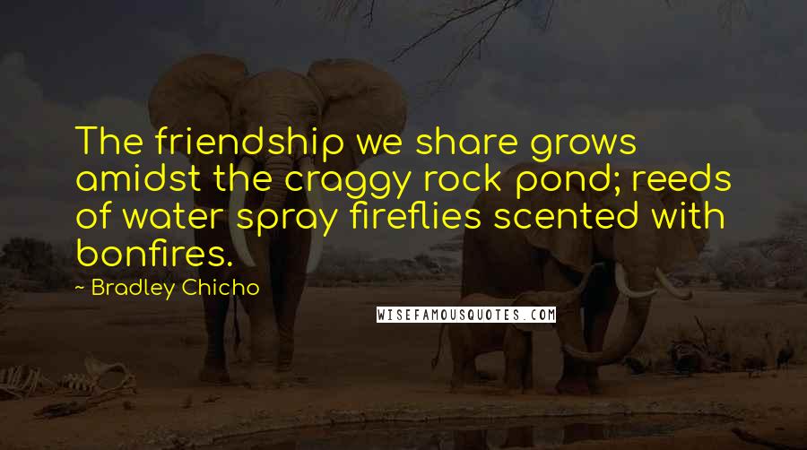 Bradley Chicho Quotes: The friendship we share grows amidst the craggy rock pond; reeds of water spray fireflies scented with bonfires.