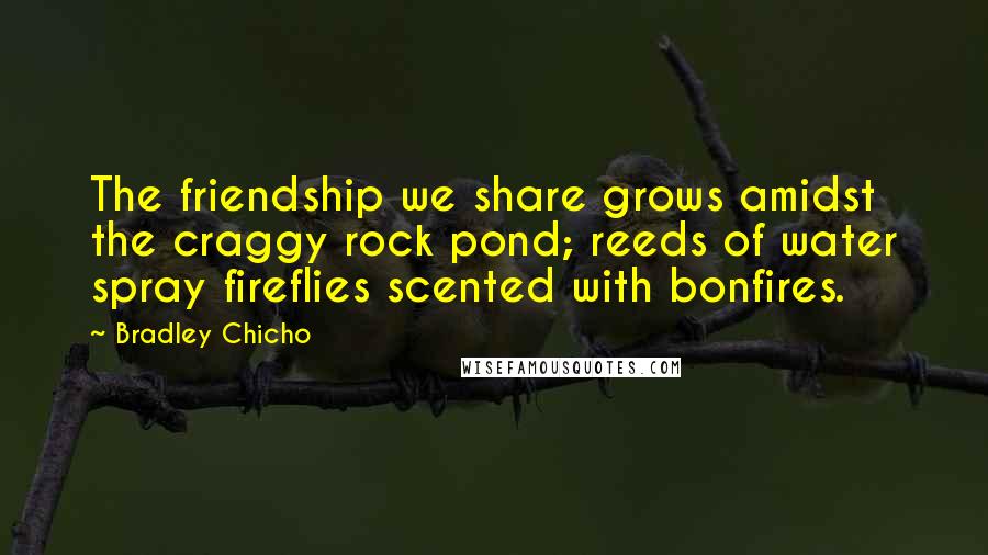 Bradley Chicho Quotes: The friendship we share grows amidst the craggy rock pond; reeds of water spray fireflies scented with bonfires.