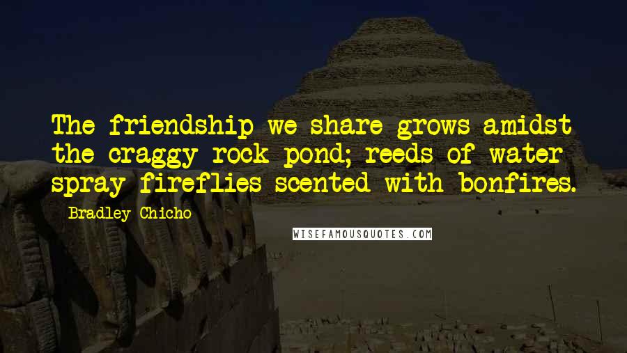 Bradley Chicho Quotes: The friendship we share grows amidst the craggy rock pond; reeds of water spray fireflies scented with bonfires.