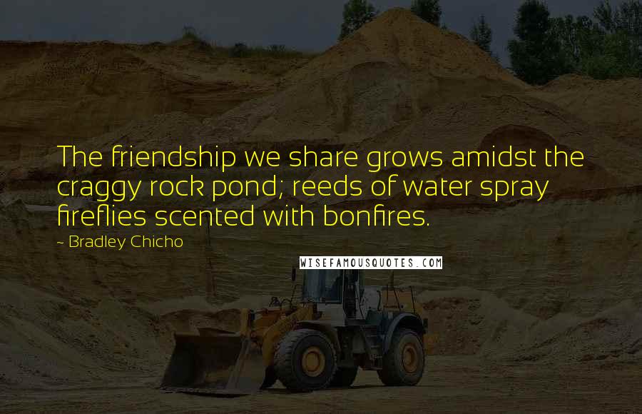 Bradley Chicho Quotes: The friendship we share grows amidst the craggy rock pond; reeds of water spray fireflies scented with bonfires.