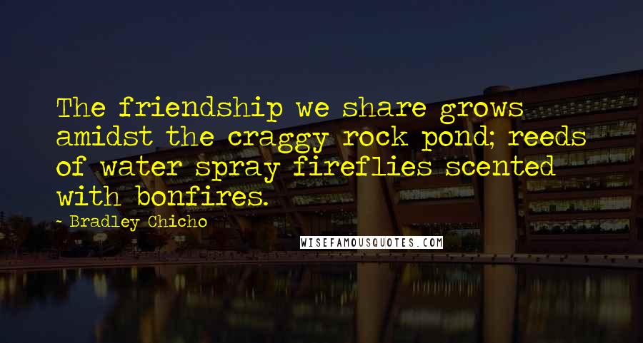 Bradley Chicho Quotes: The friendship we share grows amidst the craggy rock pond; reeds of water spray fireflies scented with bonfires.