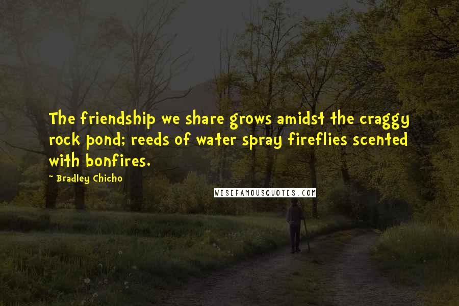 Bradley Chicho Quotes: The friendship we share grows amidst the craggy rock pond; reeds of water spray fireflies scented with bonfires.