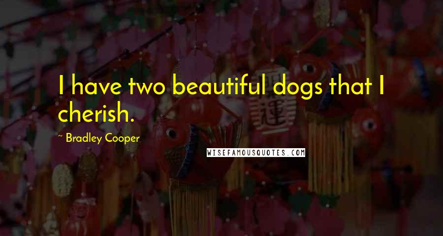 Bradley Cooper Quotes: I have two beautiful dogs that I cherish.