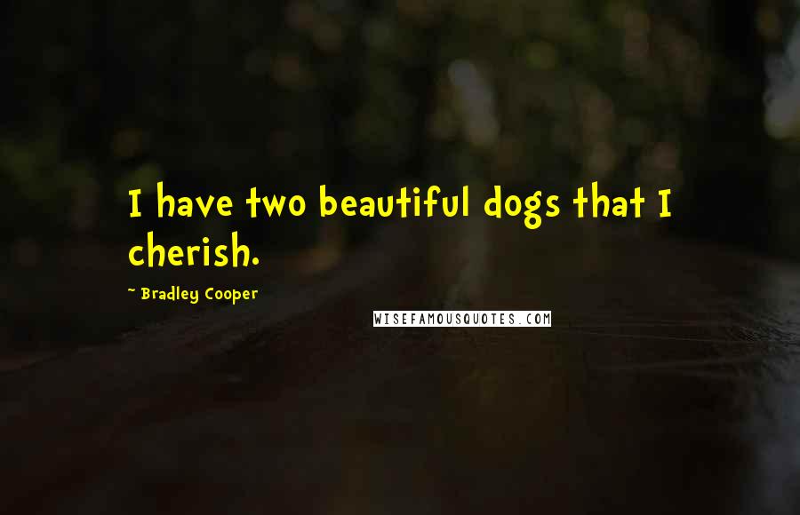Bradley Cooper Quotes: I have two beautiful dogs that I cherish.