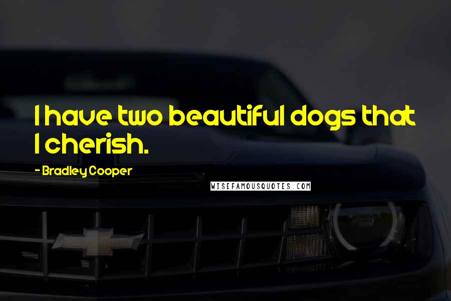 Bradley Cooper Quotes: I have two beautiful dogs that I cherish.