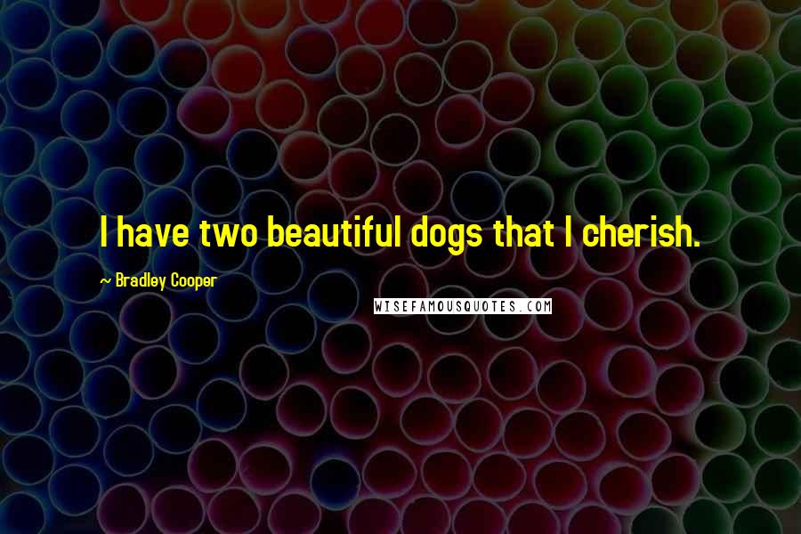 Bradley Cooper Quotes: I have two beautiful dogs that I cherish.