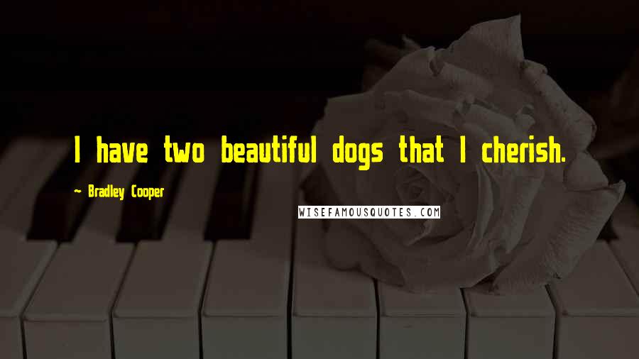 Bradley Cooper Quotes: I have two beautiful dogs that I cherish.