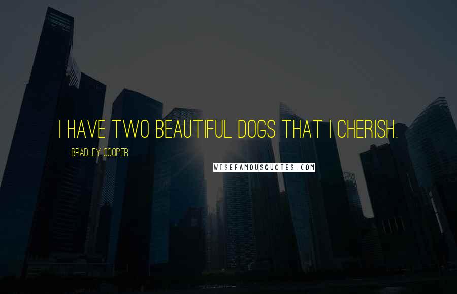 Bradley Cooper Quotes: I have two beautiful dogs that I cherish.