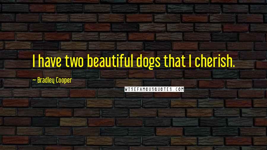 Bradley Cooper Quotes: I have two beautiful dogs that I cherish.