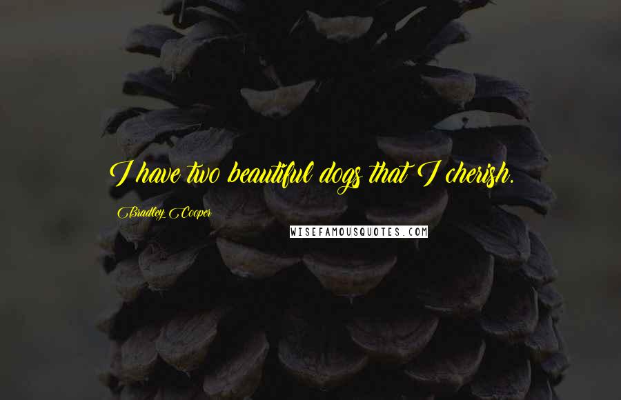 Bradley Cooper Quotes: I have two beautiful dogs that I cherish.