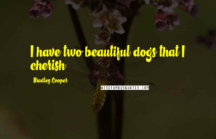 Bradley Cooper Quotes: I have two beautiful dogs that I cherish.