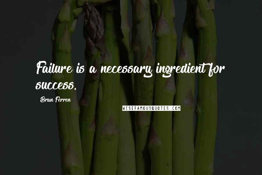 Bran Ferren Quotes: Failure is a necessary ingredient for success.