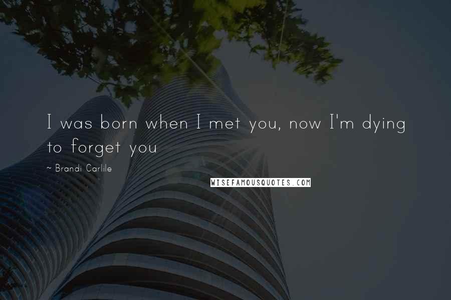 Brandi Carlile Quotes: I was born when I met you, now I'm dying to forget you