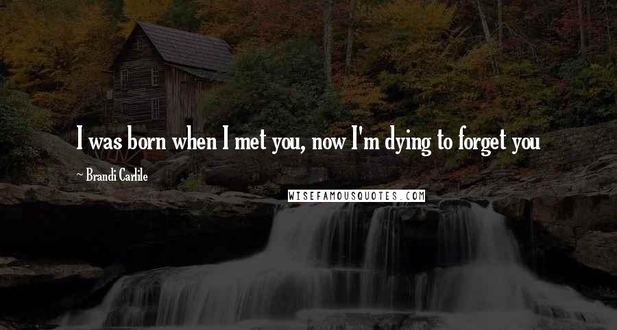 Brandi Carlile Quotes: I was born when I met you, now I'm dying to forget you