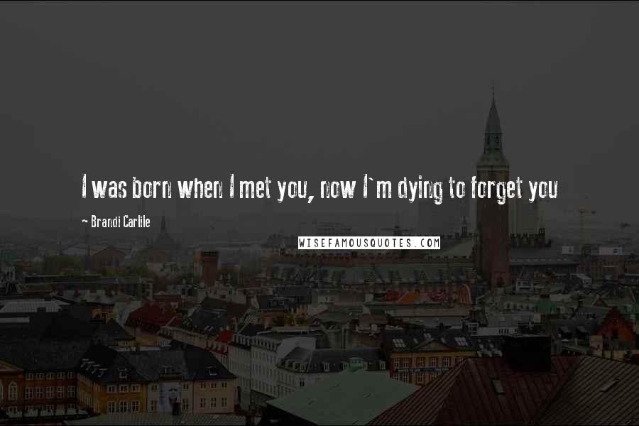 Brandi Carlile Quotes: I was born when I met you, now I'm dying to forget you